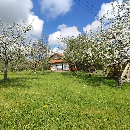 Village Vista Camping