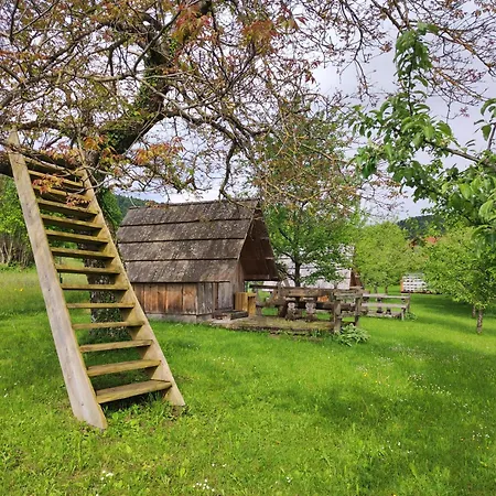 Village Vista Camping *