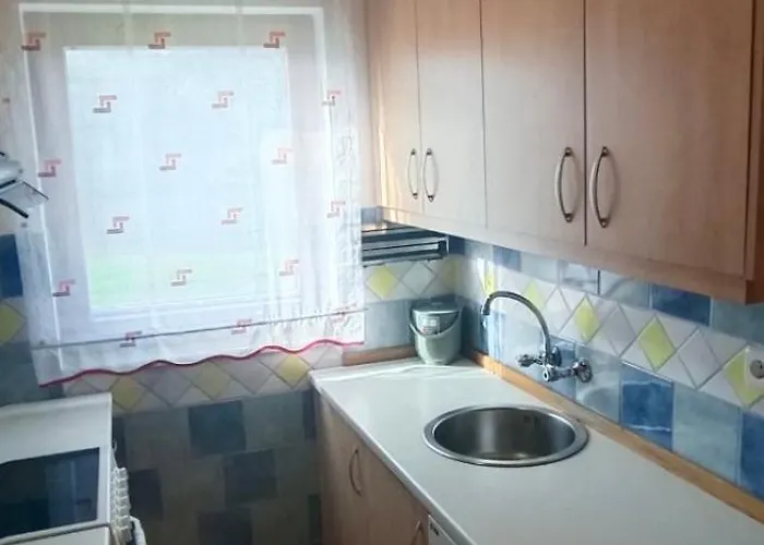 キャンプ場 Village Vista *