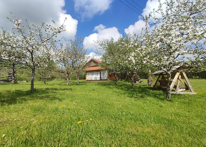 Village Vista キャンプ場