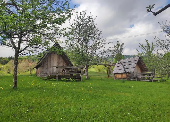 キャンプ場 Village Vista